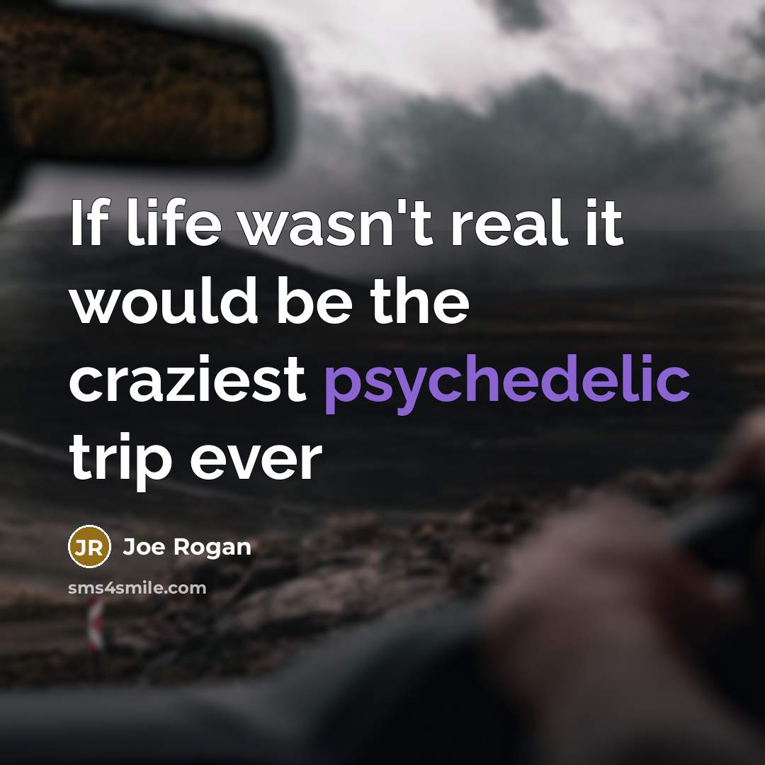 “If life wasn't real it would be the craziest psychedelic…” quote by Joe Rogan