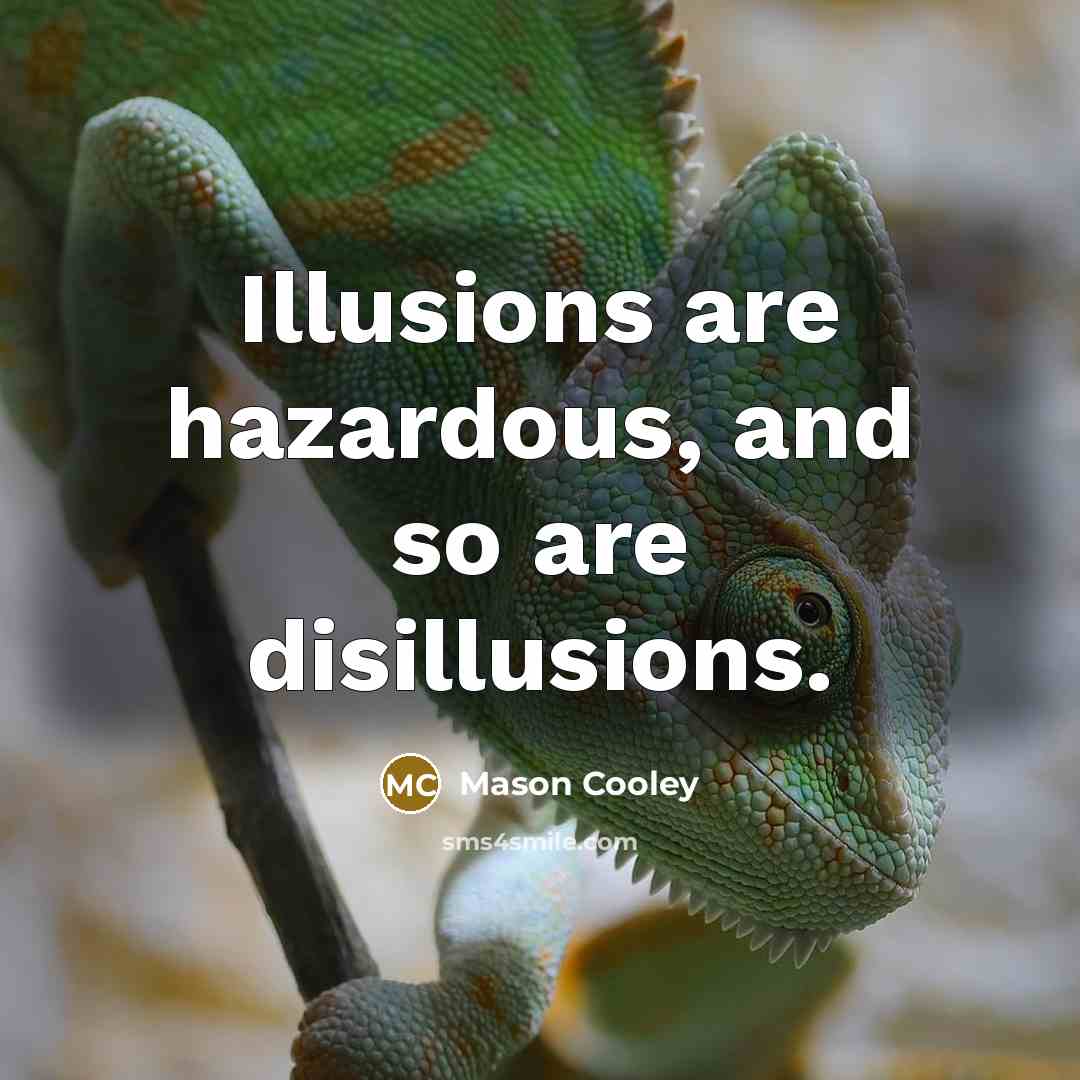 “Illusions are hazardous, and so are disillusions.…” quote by Mason Cooley