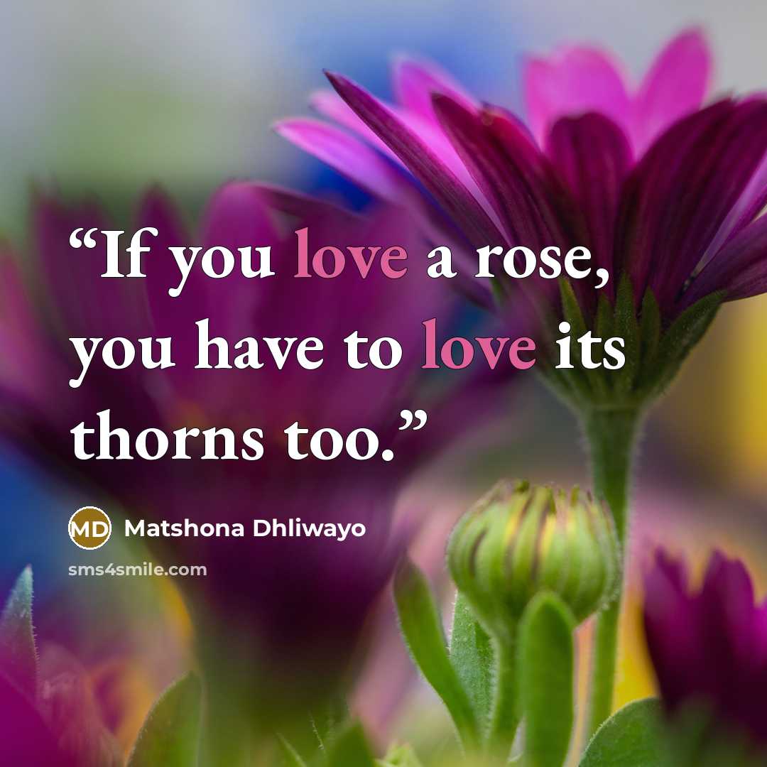 “If you love a rose, you have to love its thorns too.” quote by Matshona Dhliwayo