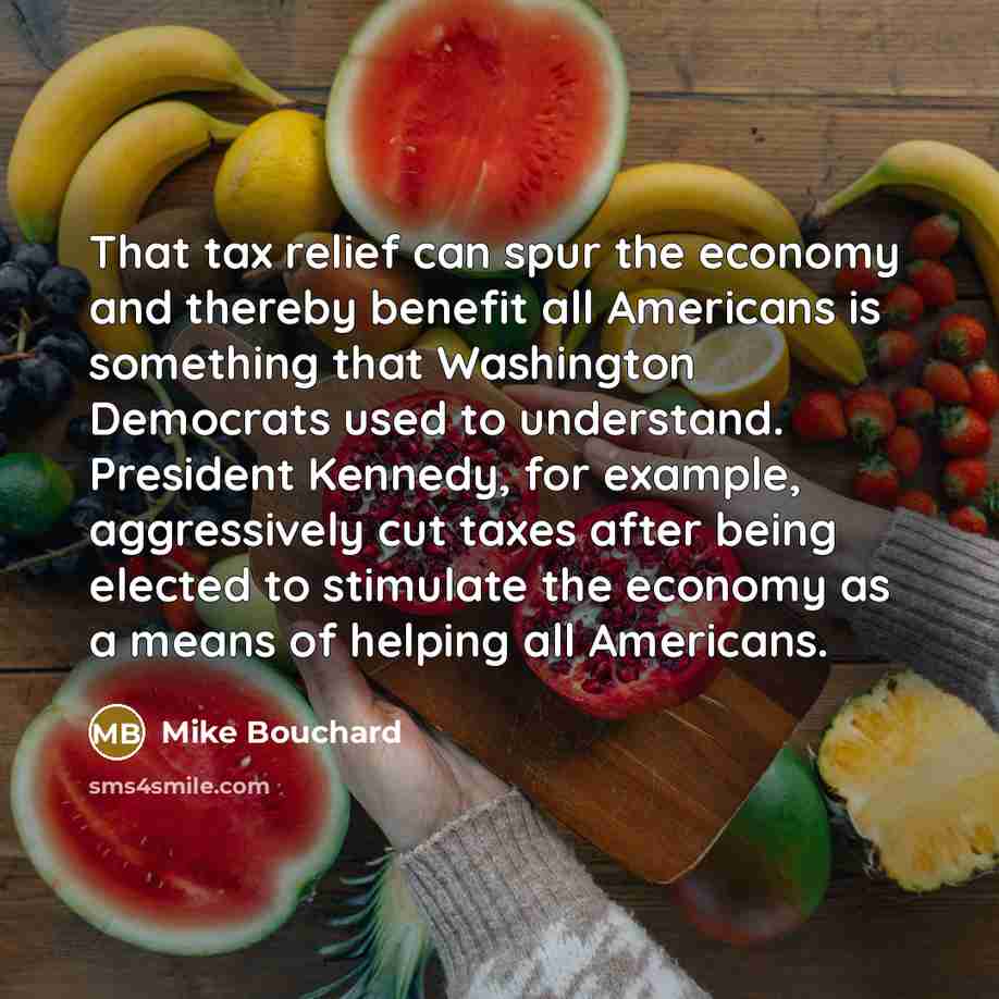 “That tax relief can spur the economy and thereby benefit…” quote by Mike Bouchard