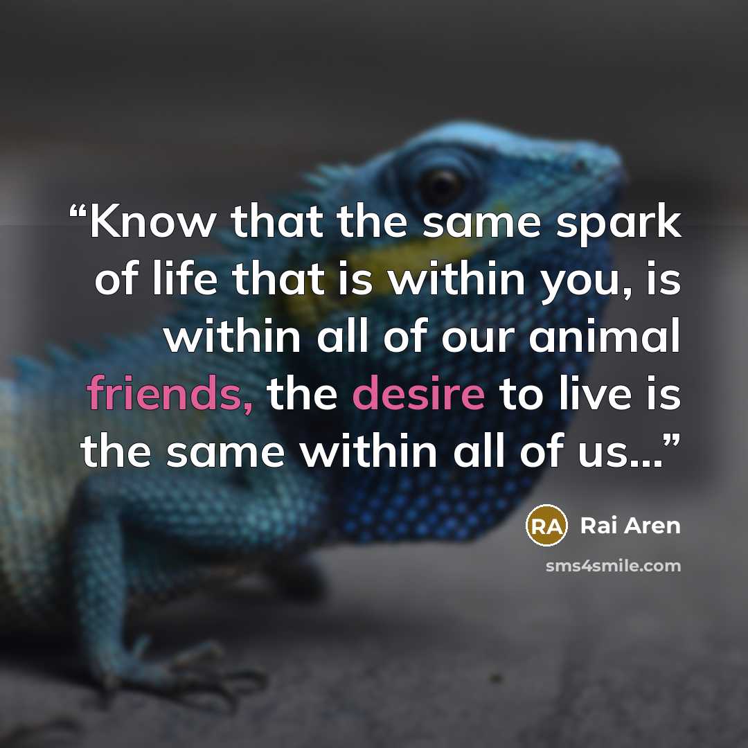 “Know that the same spark of life that is within you, is within all of our animal friends, the desire to live is the same within all of us...” quote by Rai Aren
