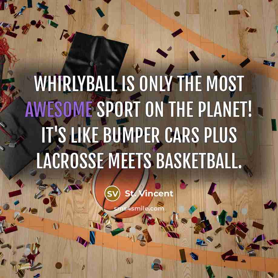 “Whirlyball is only the most awesome sport on the planet!…” quote by St. Vincent