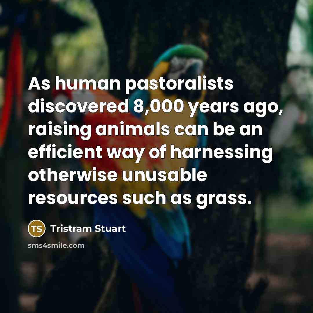 “As human pastoralists discovered 8,000 years ago, raising animals can…” quote by Tristram Stuart