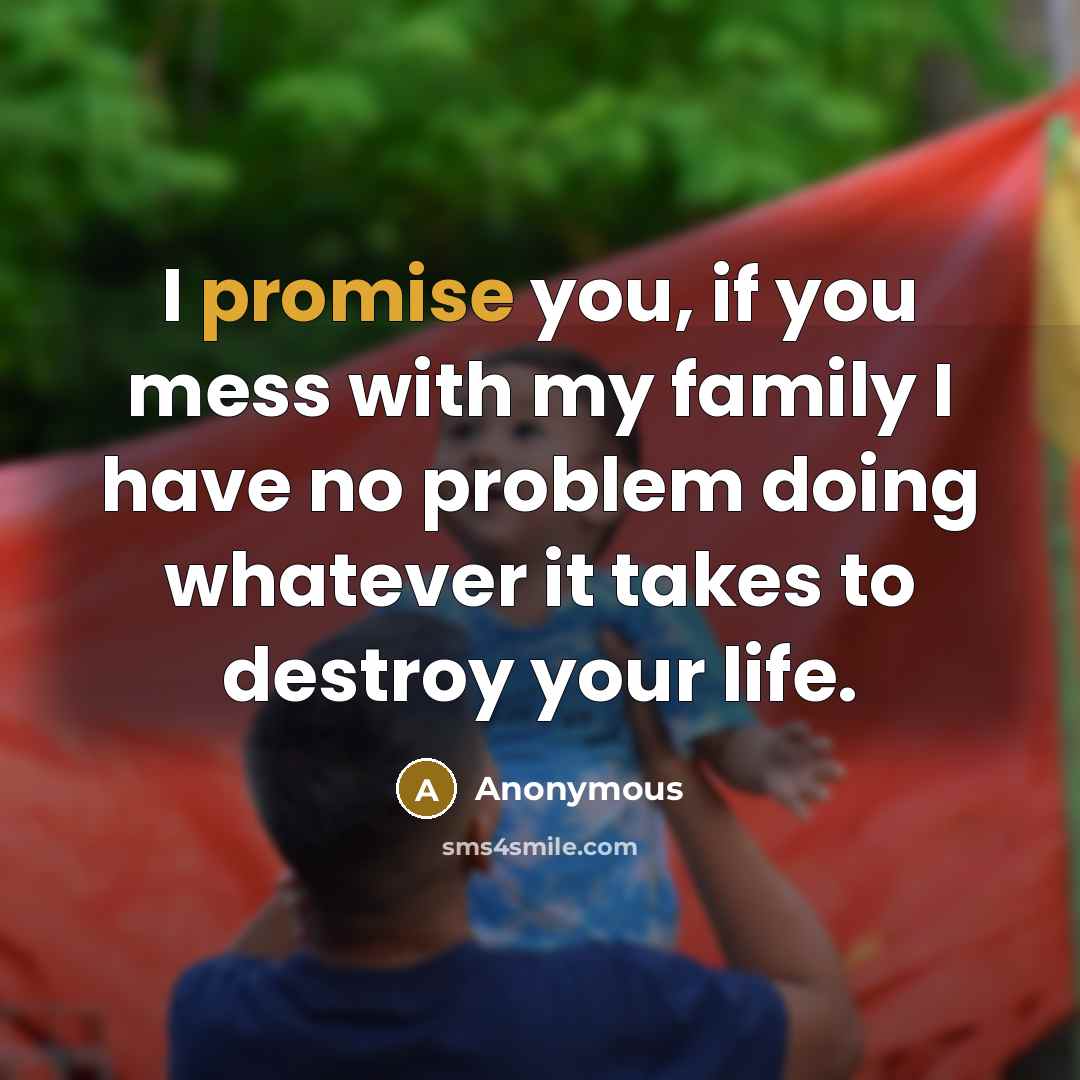 “I promise you, if you mess with my family I…” quote by Anonymous