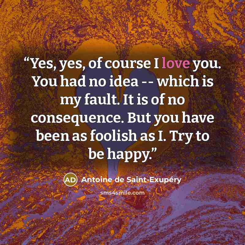 “Yes, yes, of course I love you. You had no idea -- which is my fault. It is of no consequence. But you have been as foolish as I. Try to be happy.” quote by Antoine de Saint-Exupéry