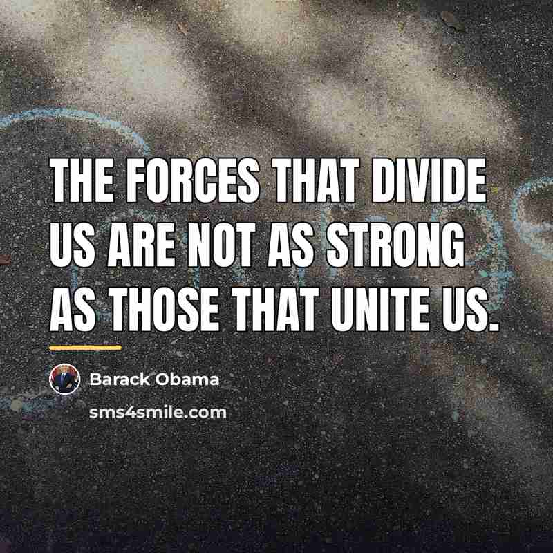 “The forces that divide us are not as strong as…” quote by Barack Obama