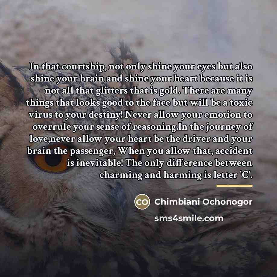 “In that courtship, not only shine your eyes but also…” quote by Chimbiani Ochonogor