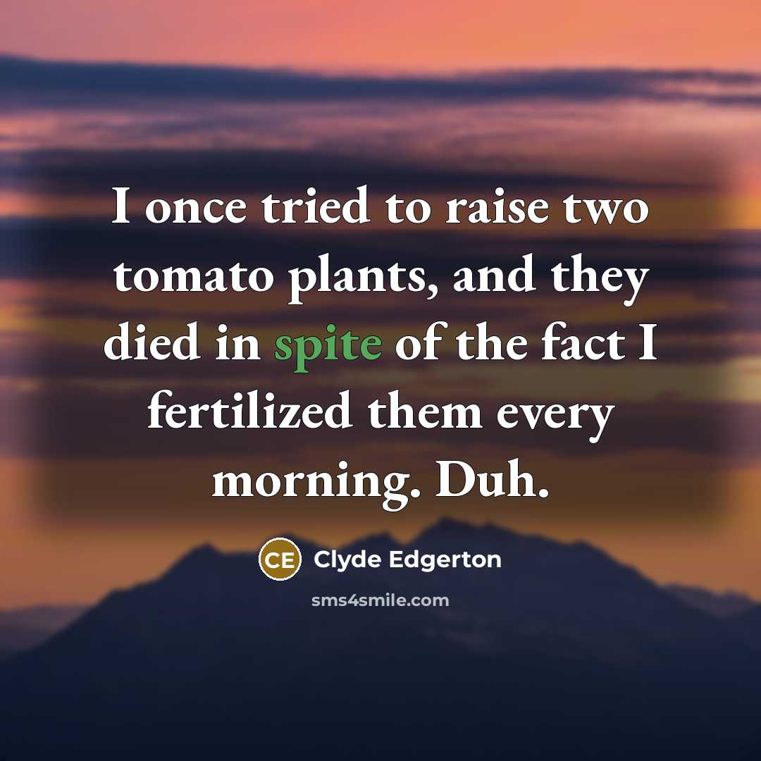 “I once tried to raise two tomato plants, and they…” quote by Clyde Edgerton