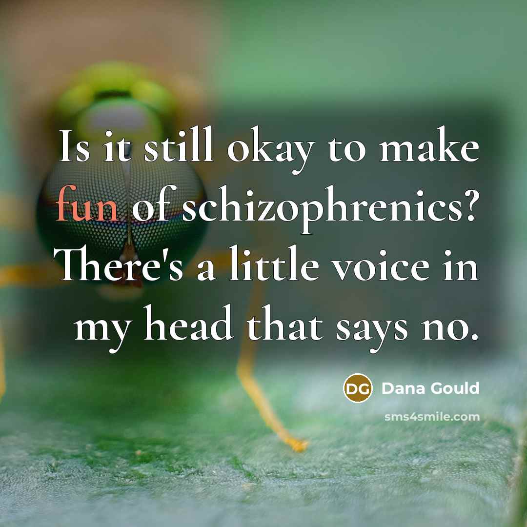 “Is it still okay to make fun of schizophrenics? There's…” quote by Dana Gould