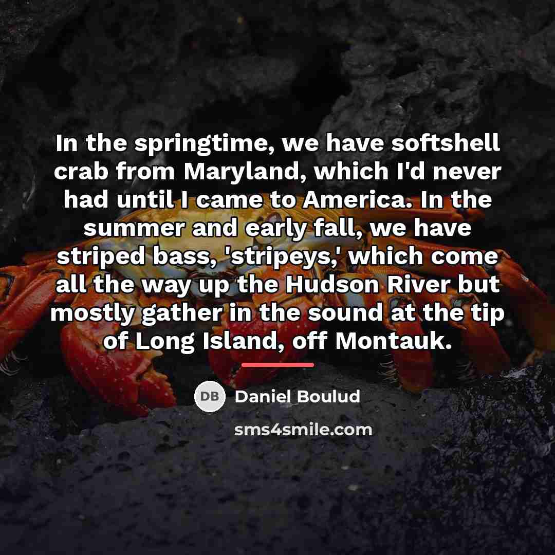 “In the springtime, we have softshell crab from Maryland, which…” quote by Daniel Boulud