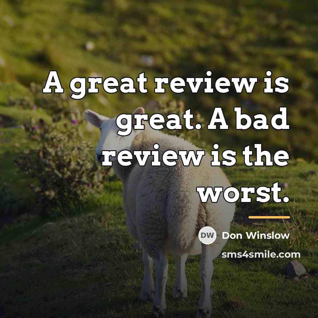“A great review is great. A bad review is the…” quote by Don Winslow