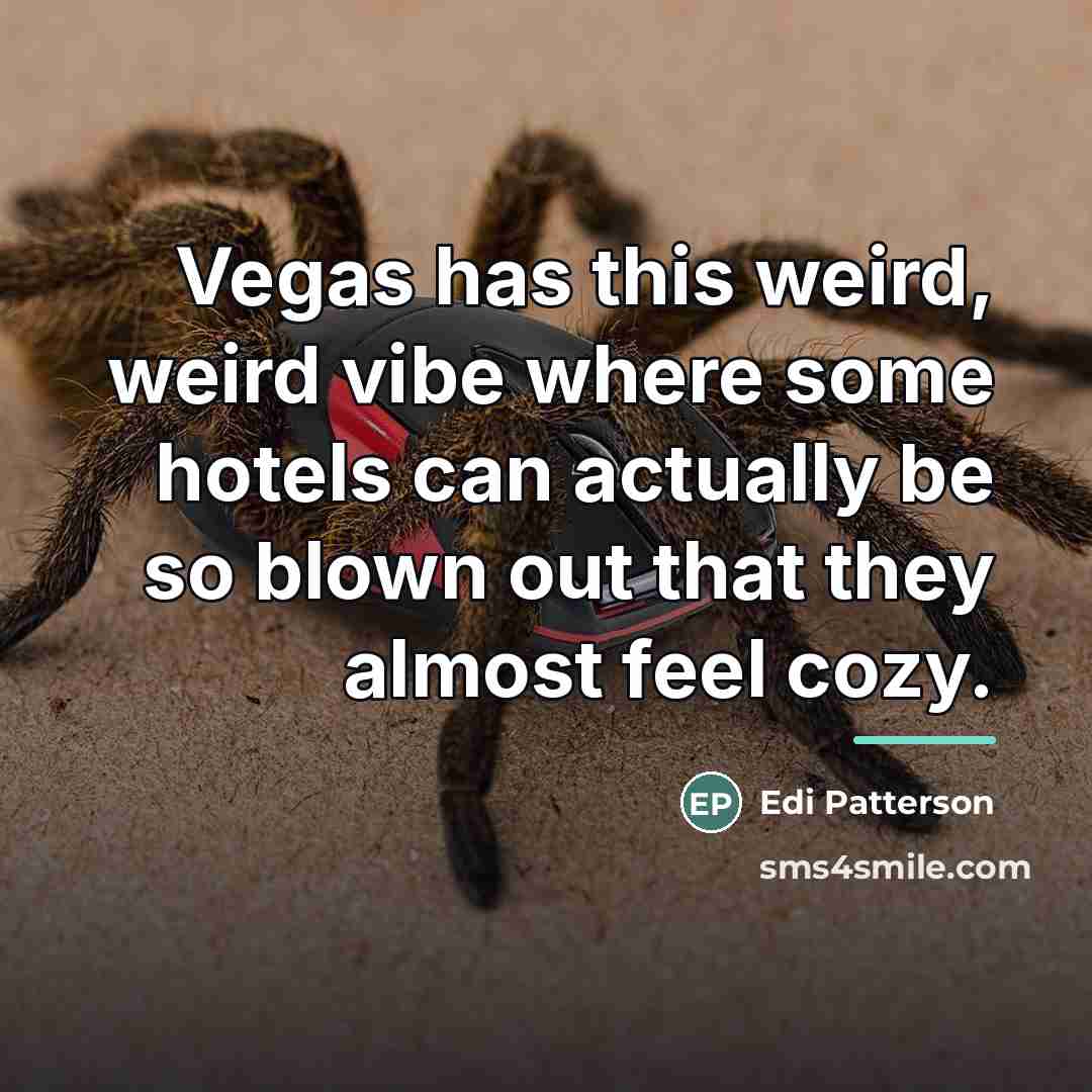 “Vegas has this weird, weird vibe where some hotels can…” quote by Edi Patterson