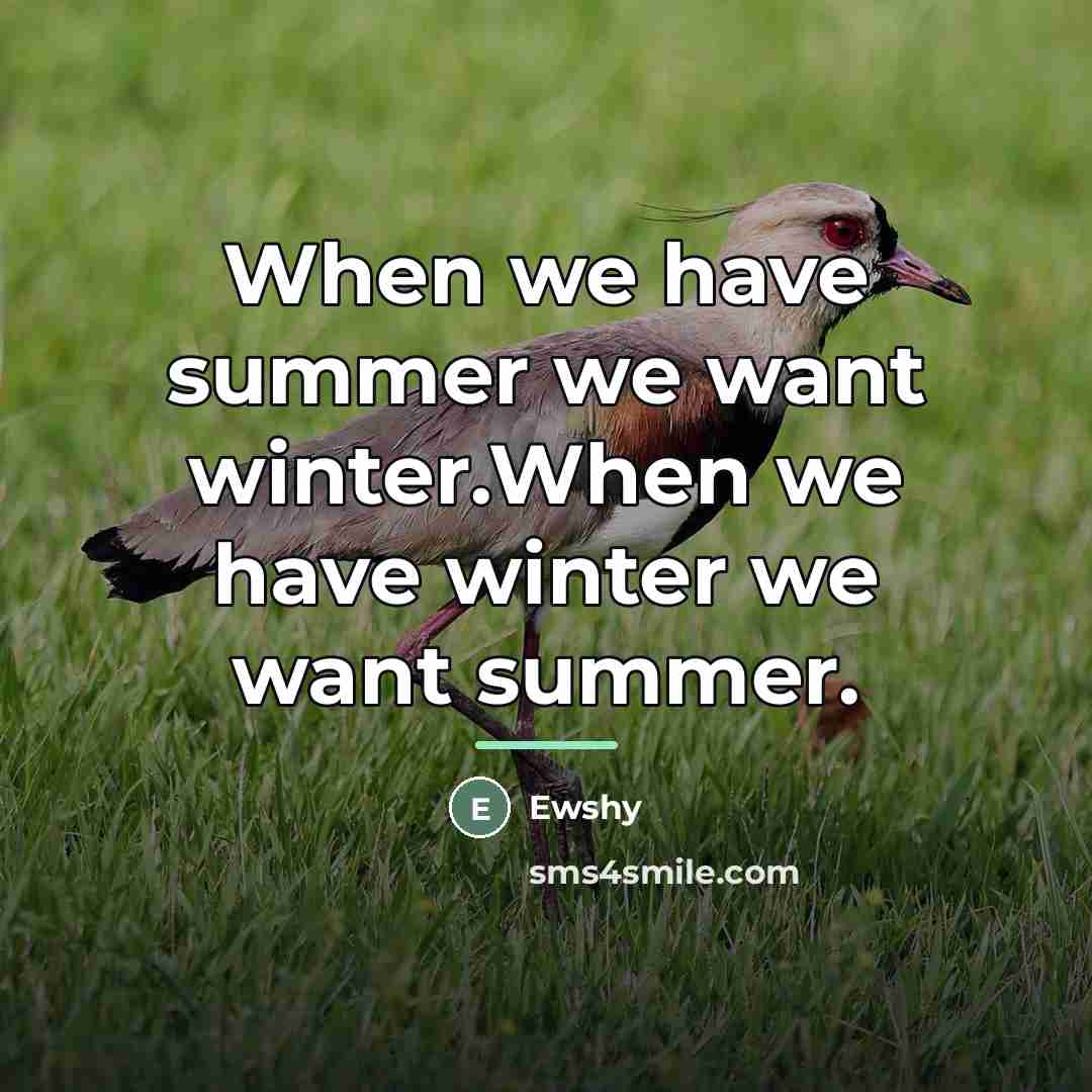 “When we have summer we want winter.When we have winter…” quote by Ewshy