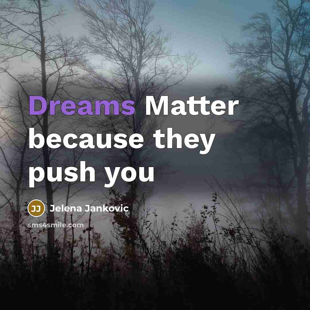 “Dreams Matter because they push you…” quote by Jelena Jankovic