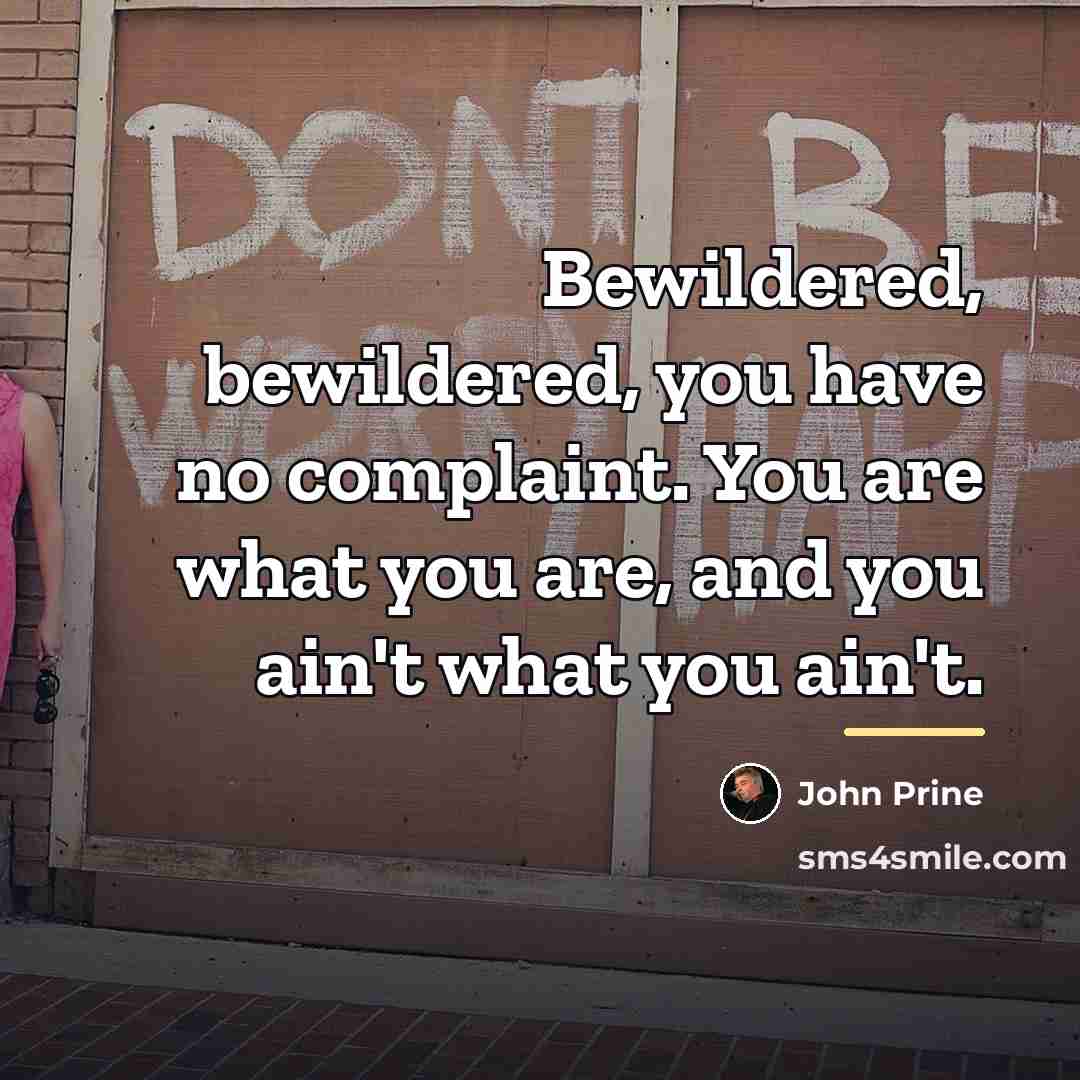 “Bewildered, bewildered, you have no complaint. You are what you…” quote by John Prine
