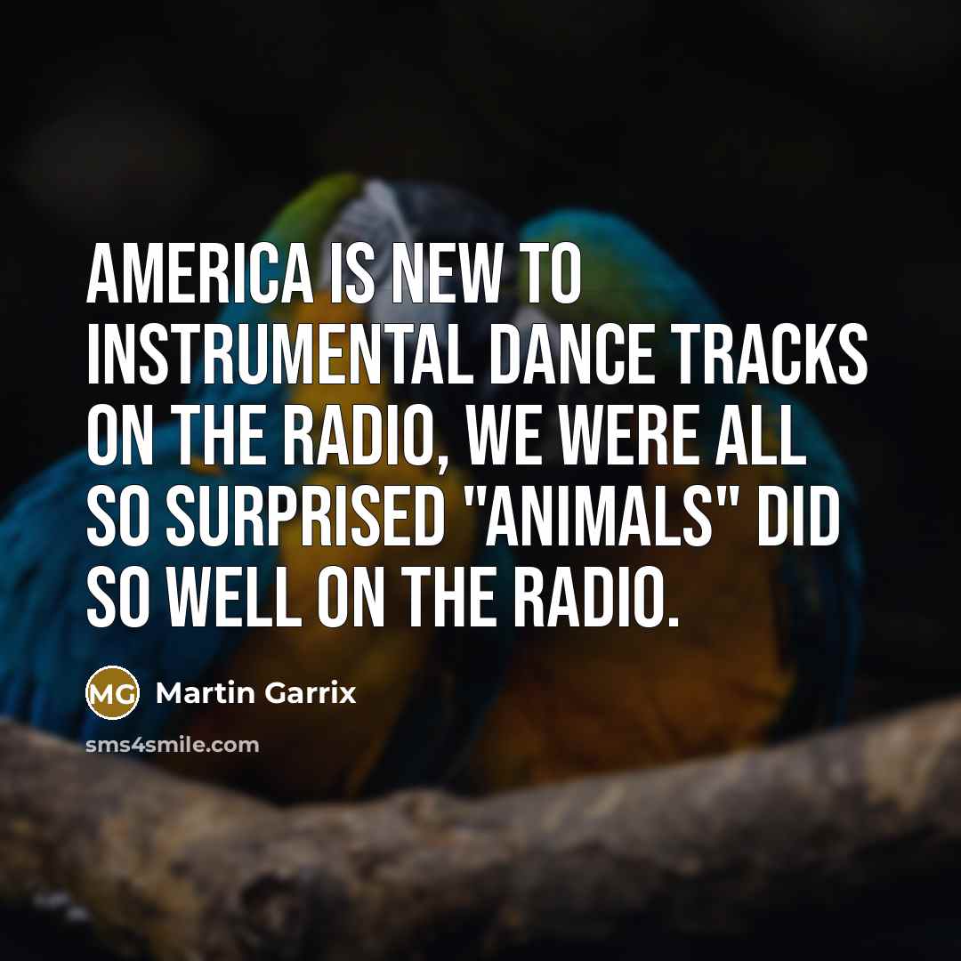 “America is new to instrumental dance tracks on the radio,…” quote by Martin Garrix
