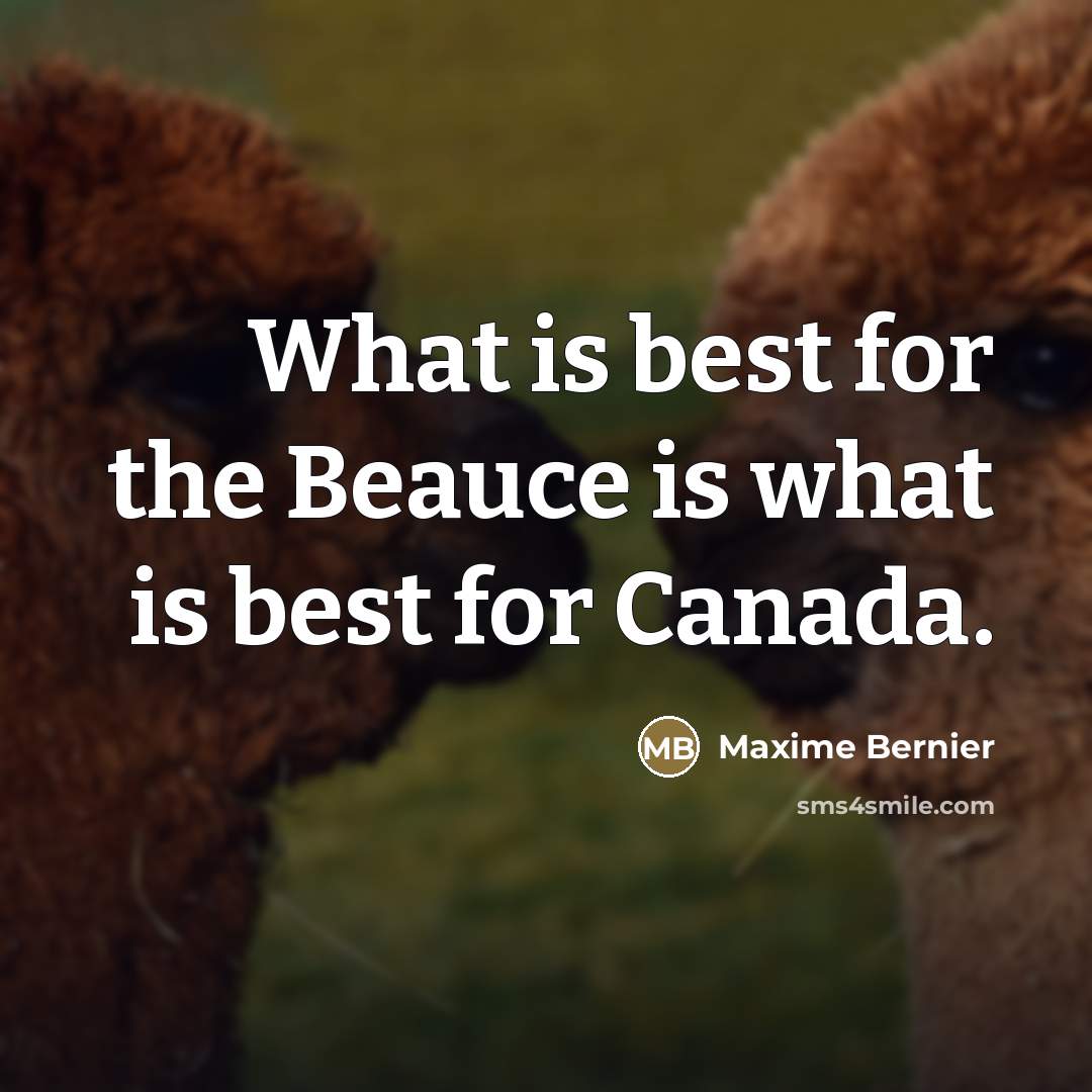 “What is best for the Beauce is what is best…” quote by Maxime Bernier