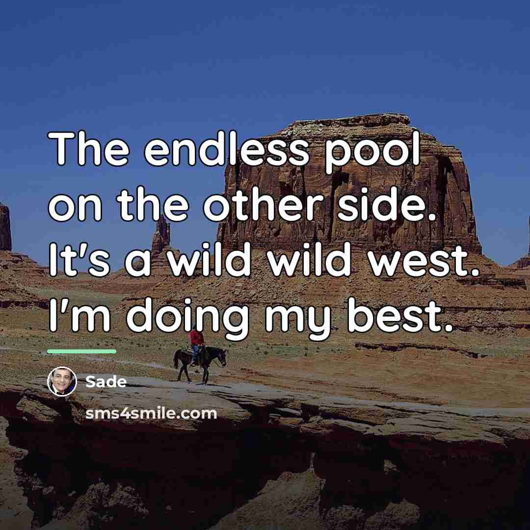 “The endless pool on the other side. It's a wild…” quote by Sade