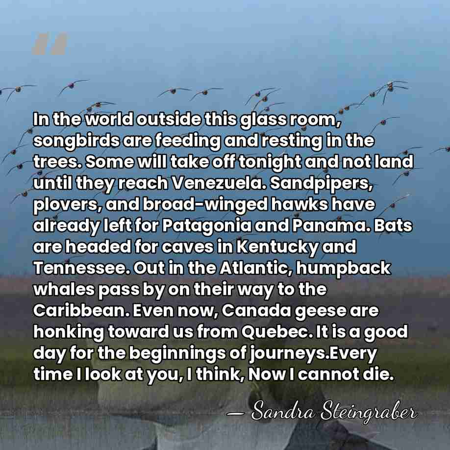 In the world outside this glass room, songbirds are feeding and resting&hellip; - Sandra Steingraber