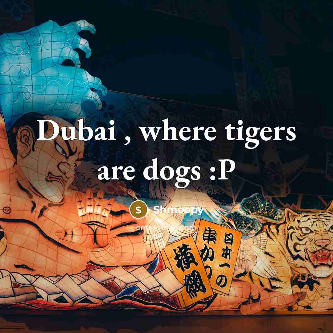 “Dubai , where tigers are dogs :P…” quote by Shmoopy