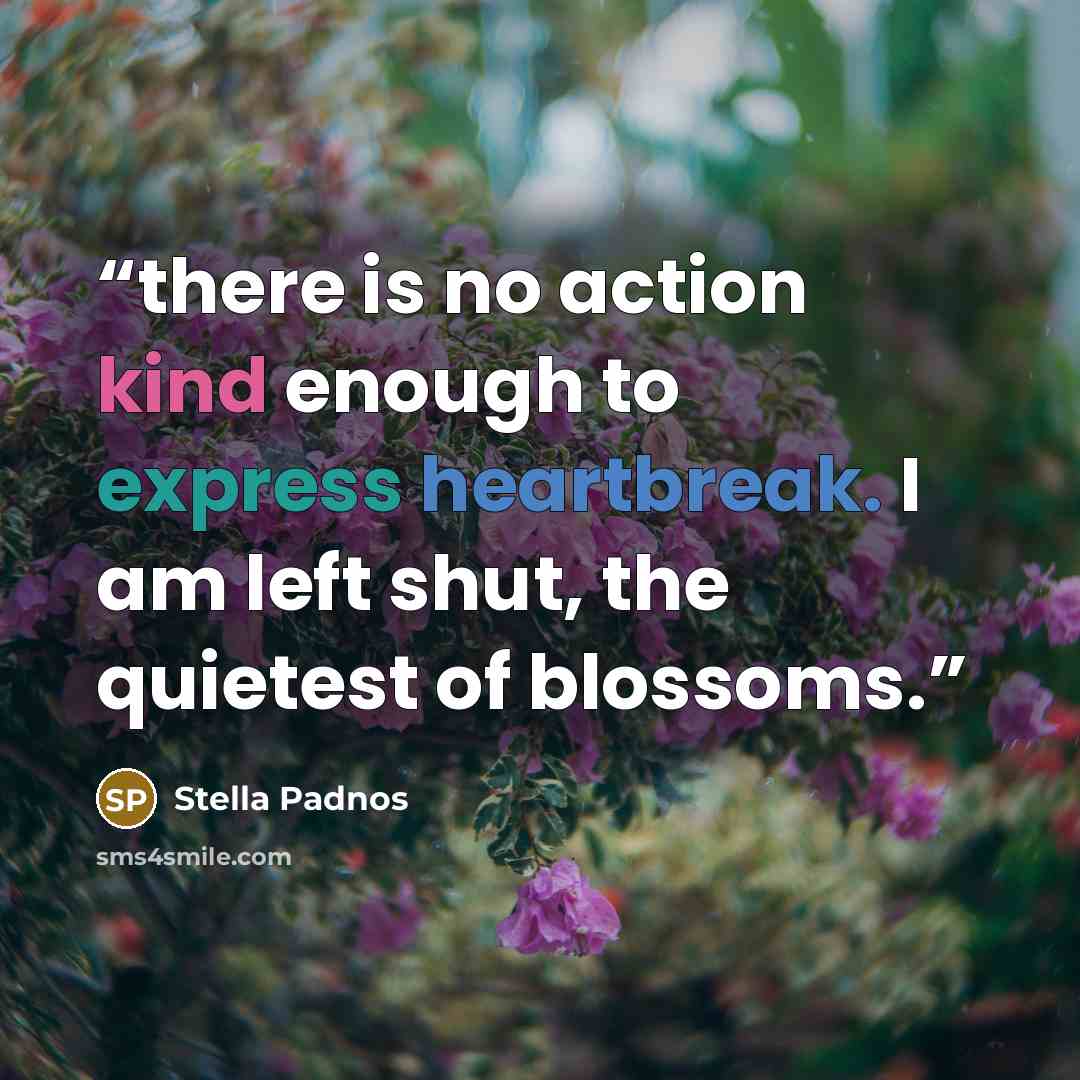 “there is no action kind enough to express heartbreak. I am left shut, the quietest of blossoms.” quote by Stella Padnos