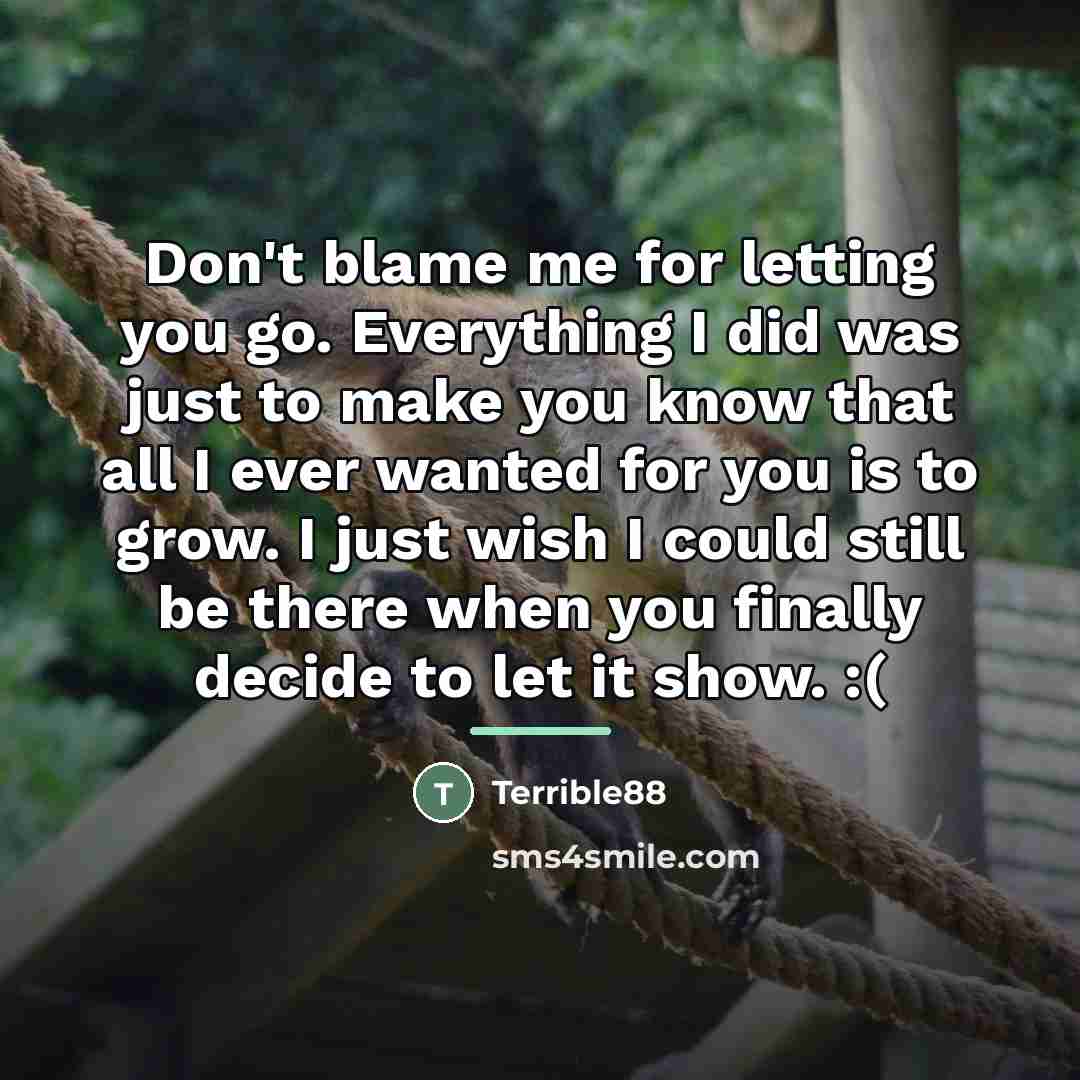 “Don't blame me for letting you go. Everything I did…” quote by Terrible88