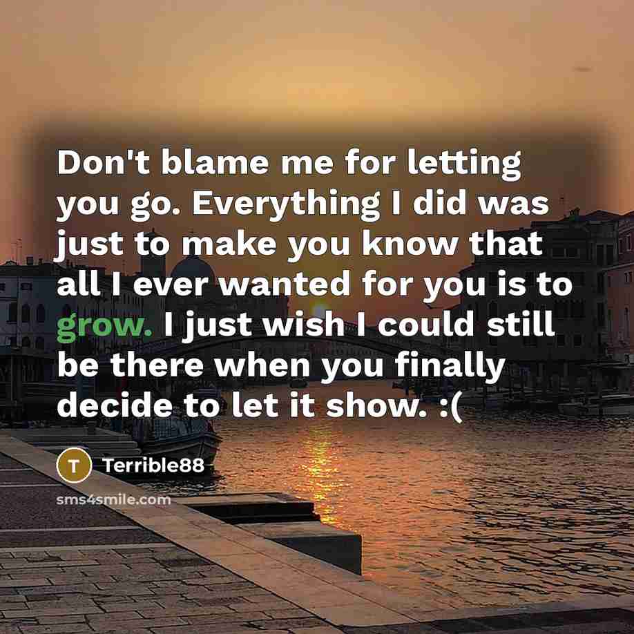 “Don't blame me for letting you go. Everything I did was just to make you know that all I ever wanted for you is to grow. I just wish I could still be there when you finally decide to let it show. :(” quote by Terrible88