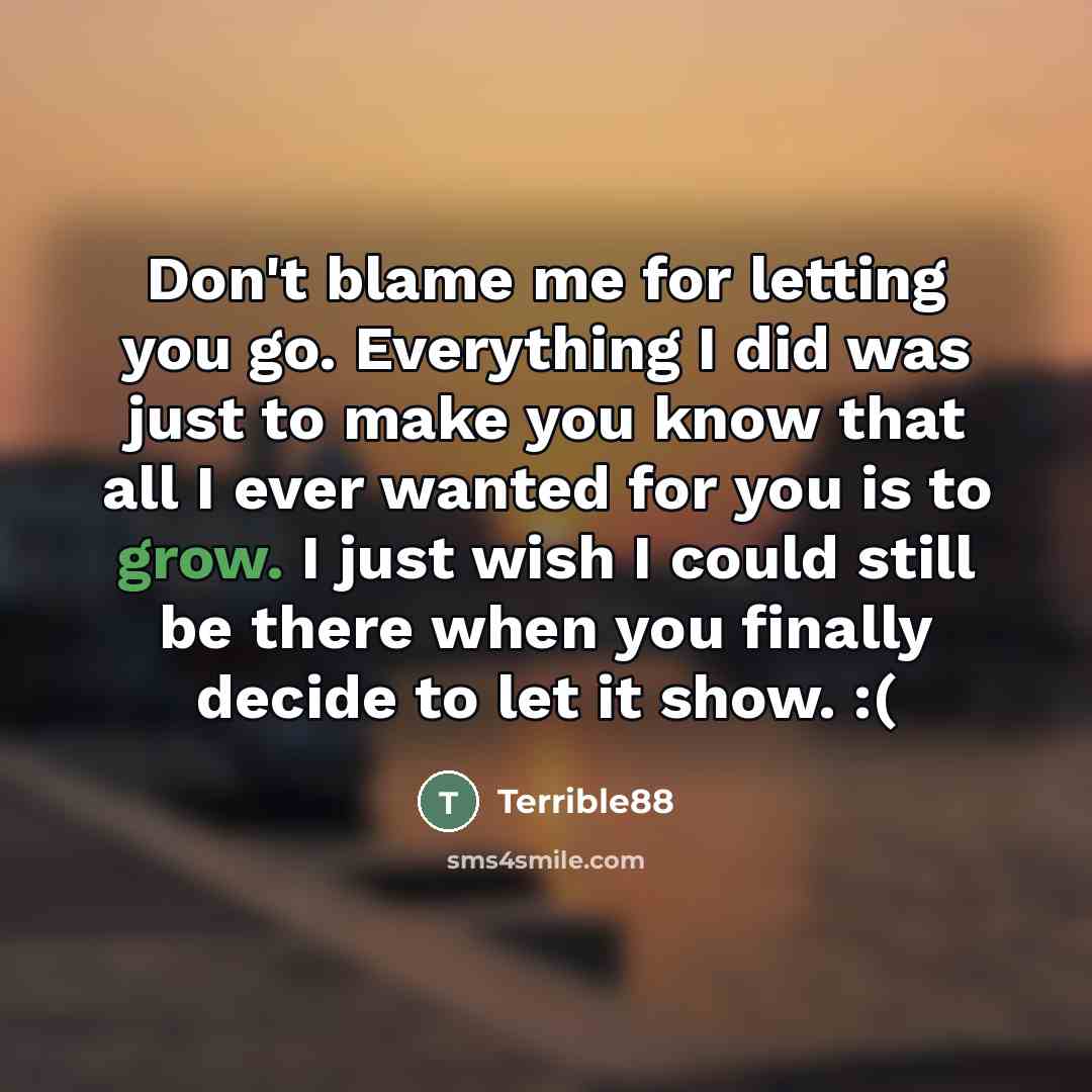 “Don't blame me for letting you go. Everything I did was just to make you know that all I ever wanted for you is to grow. I just wish I could still be there when you finally decide to let it show. :(” quote by Terrible88