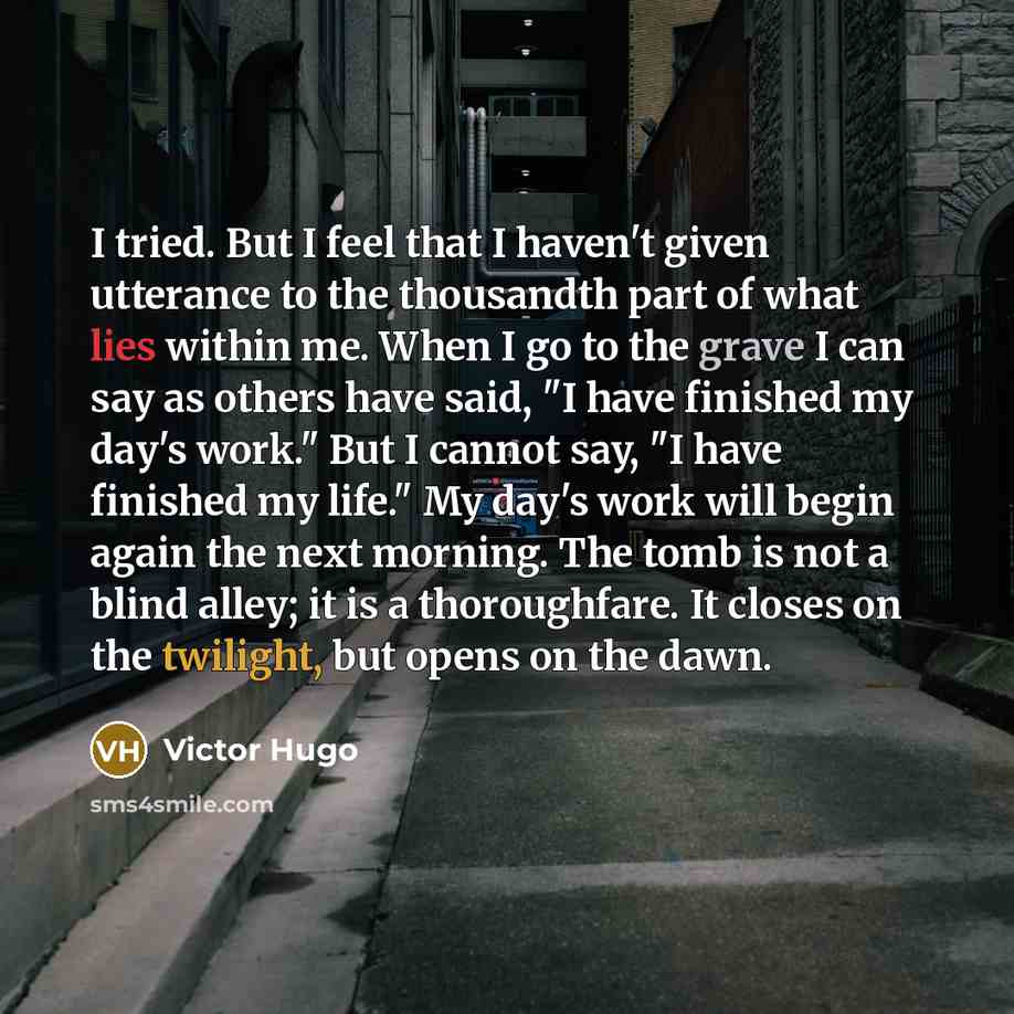 “I tried. But I feel that I haven't given utterance…” quote by Victor Hugo