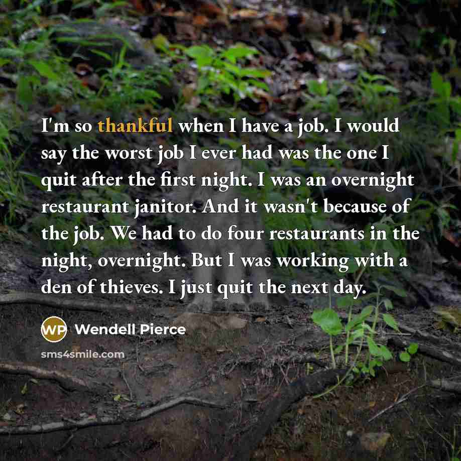 “I'm so thankful when I have a job. I would…” quote by Wendell Pierce