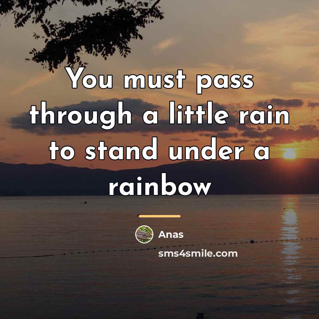 “You must pass through a little rain to stand under…” quote by Anas