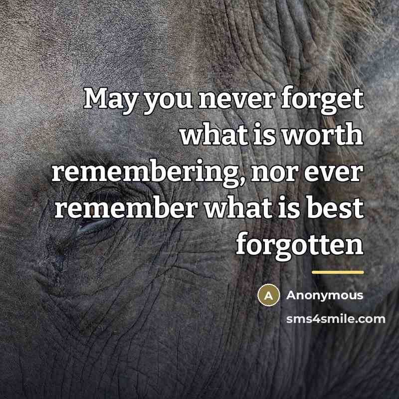 “May you never forget what is worth remembering, nor ever…” quote by Anonymous