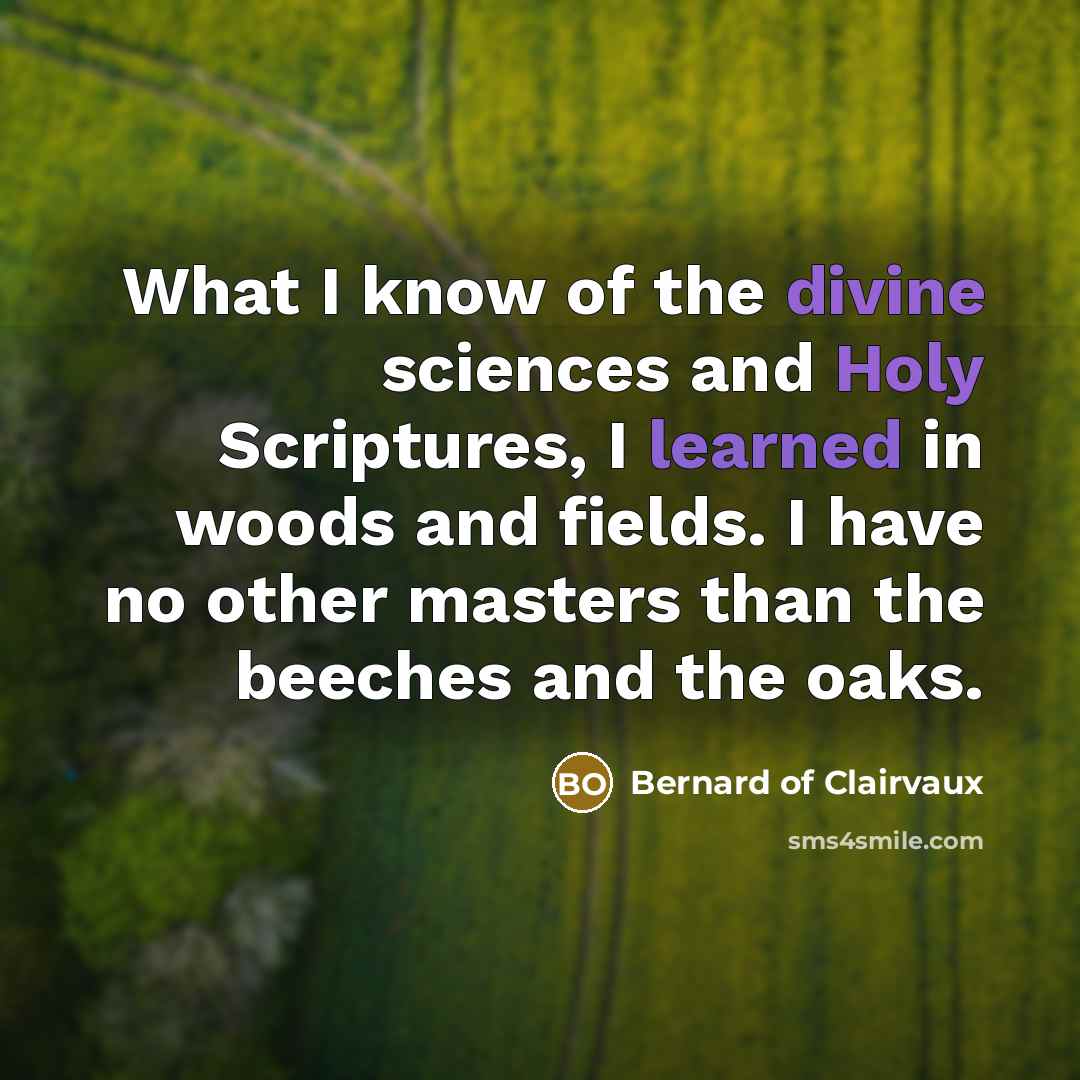 “What I know of the divine sciences and Holy Scriptures,…” quote by Bernard of Clairvaux