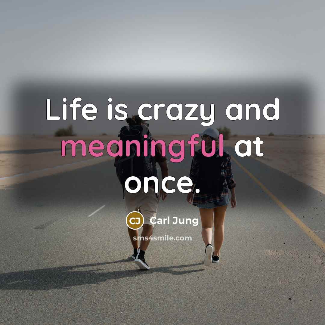“Life is crazy and meaningful at once.…” quote by Carl Jung