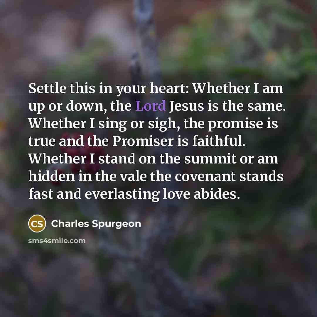“Settle this in your heart: Whether I am up or…” quote by Charles Spurgeon