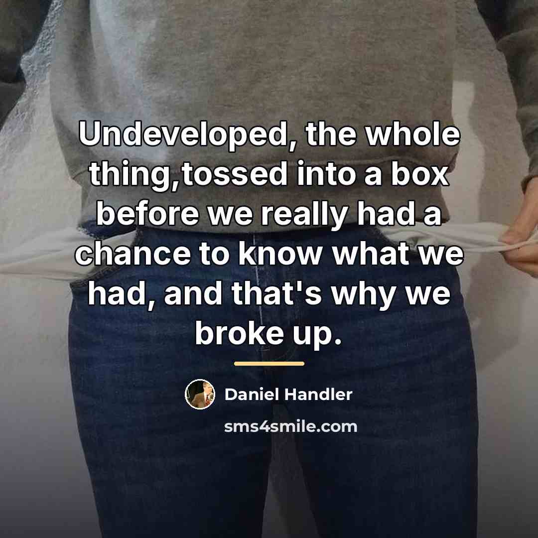 “Undeveloped, the whole thing,tossed into a box before we really…” quote by Daniel Handler