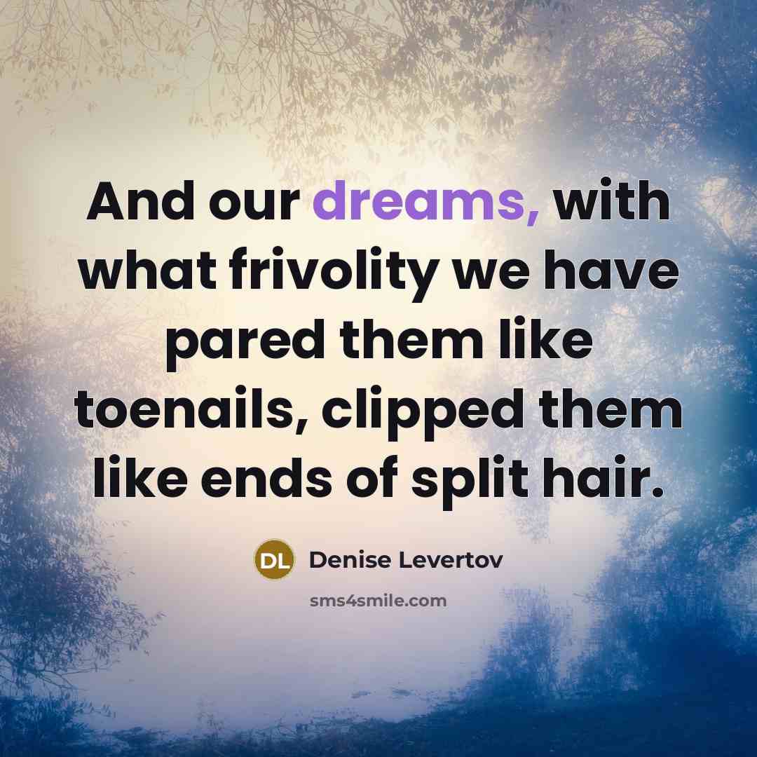 “And our dreams, with what frivolity we have pared them…” quote by Denise Levertov