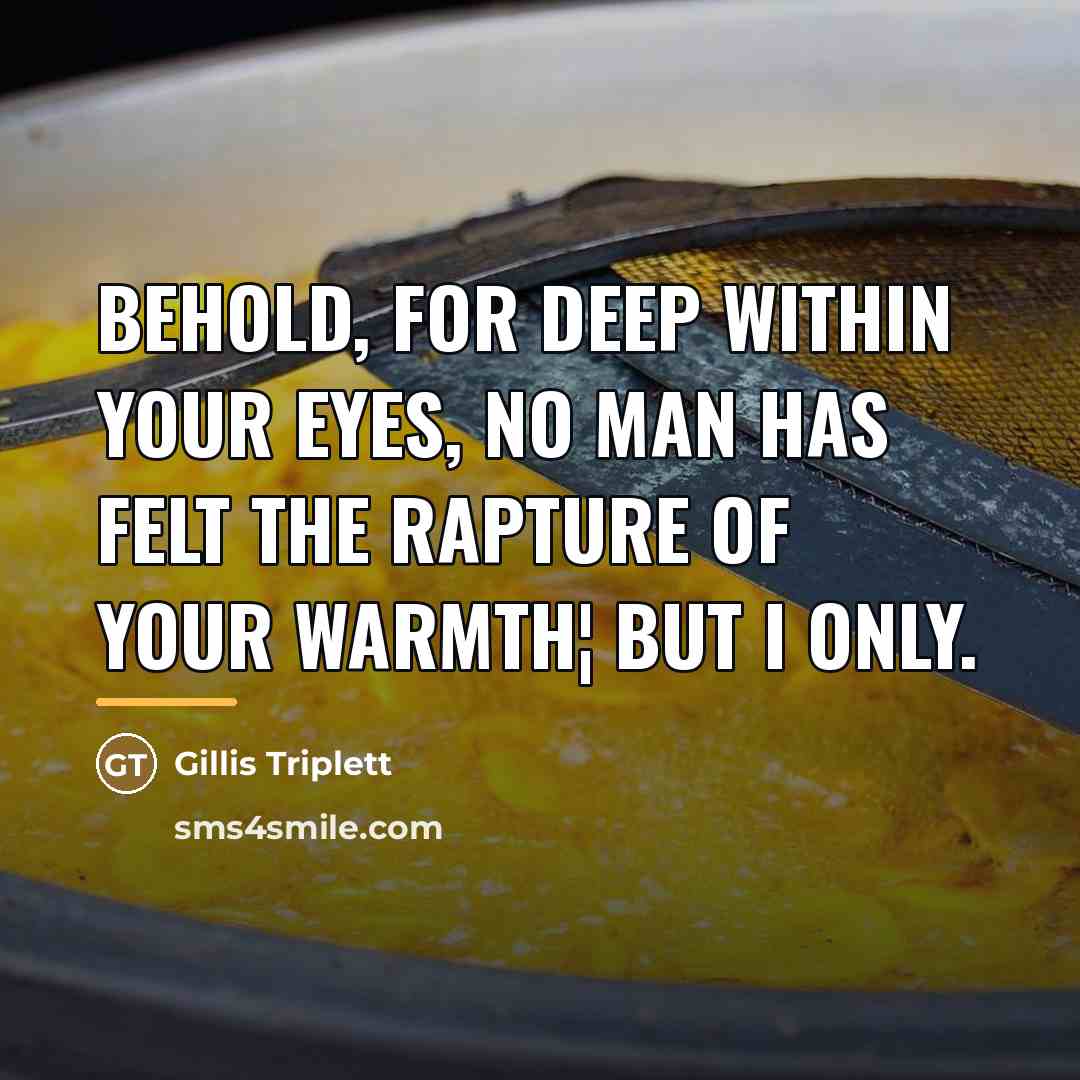 “Behold, for deep within your eyes, no man has felt…” quote by Gillis Triplett