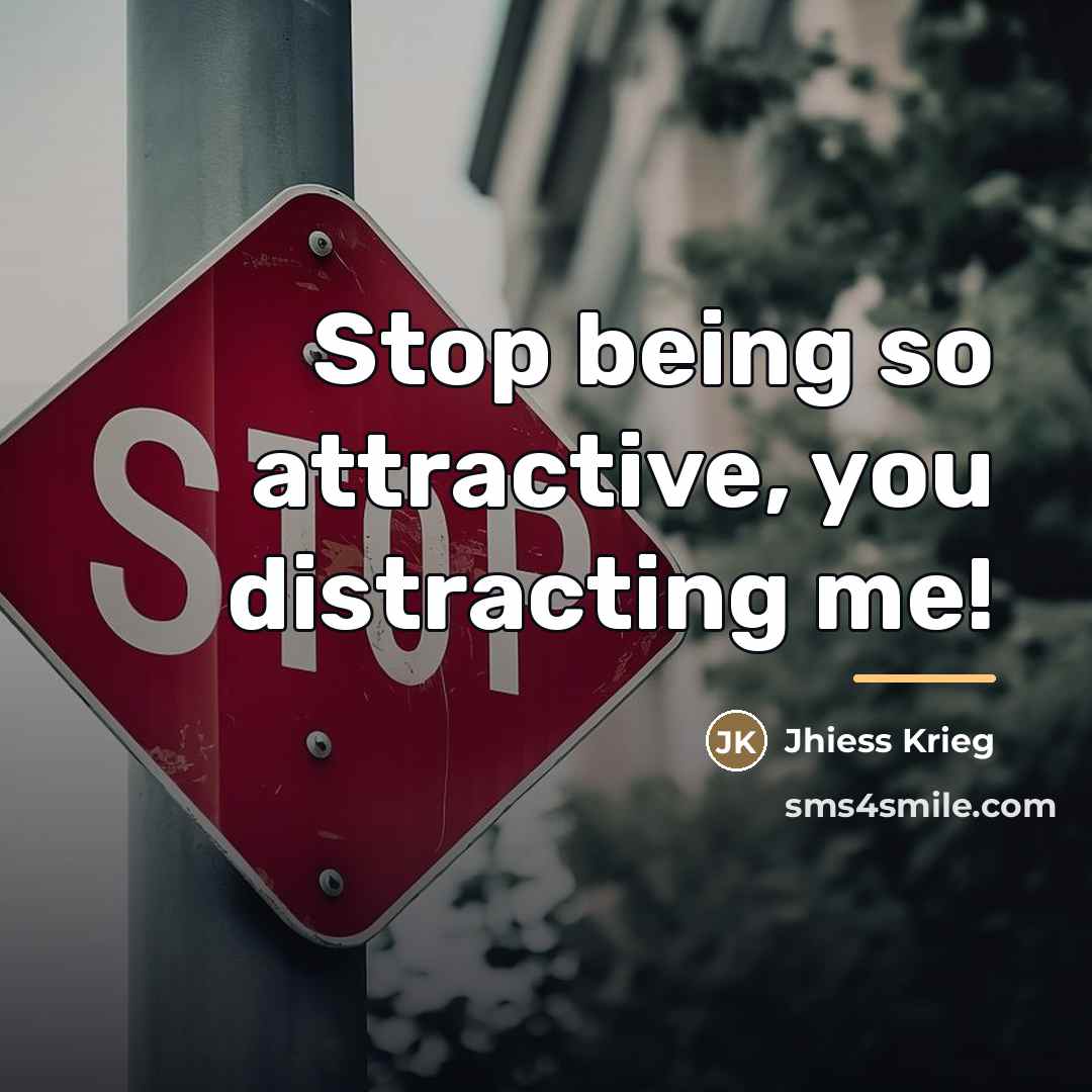 “Stop being so attractive, you distracting me!…” quote by Jhiess Krieg