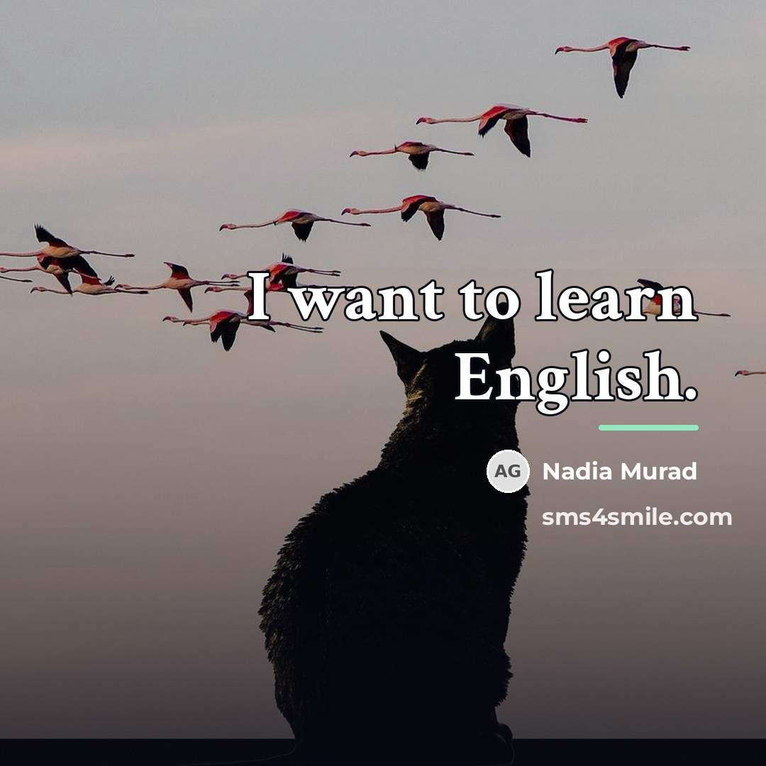 “I want to learn English.…” quote by Nadia Murad