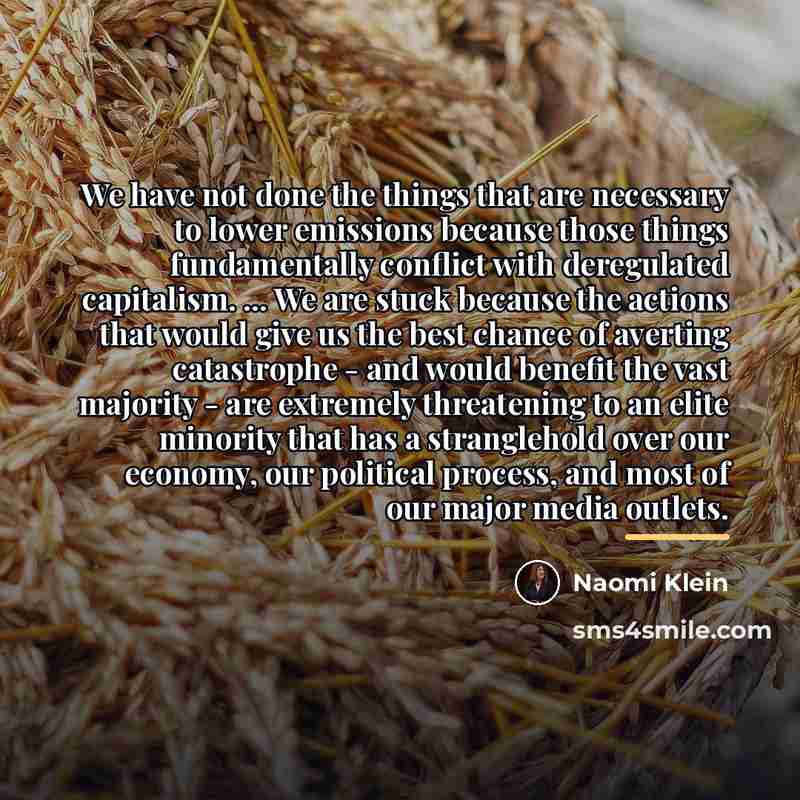 “We have not done the things that are necessary to…” quote by Naomi Klein