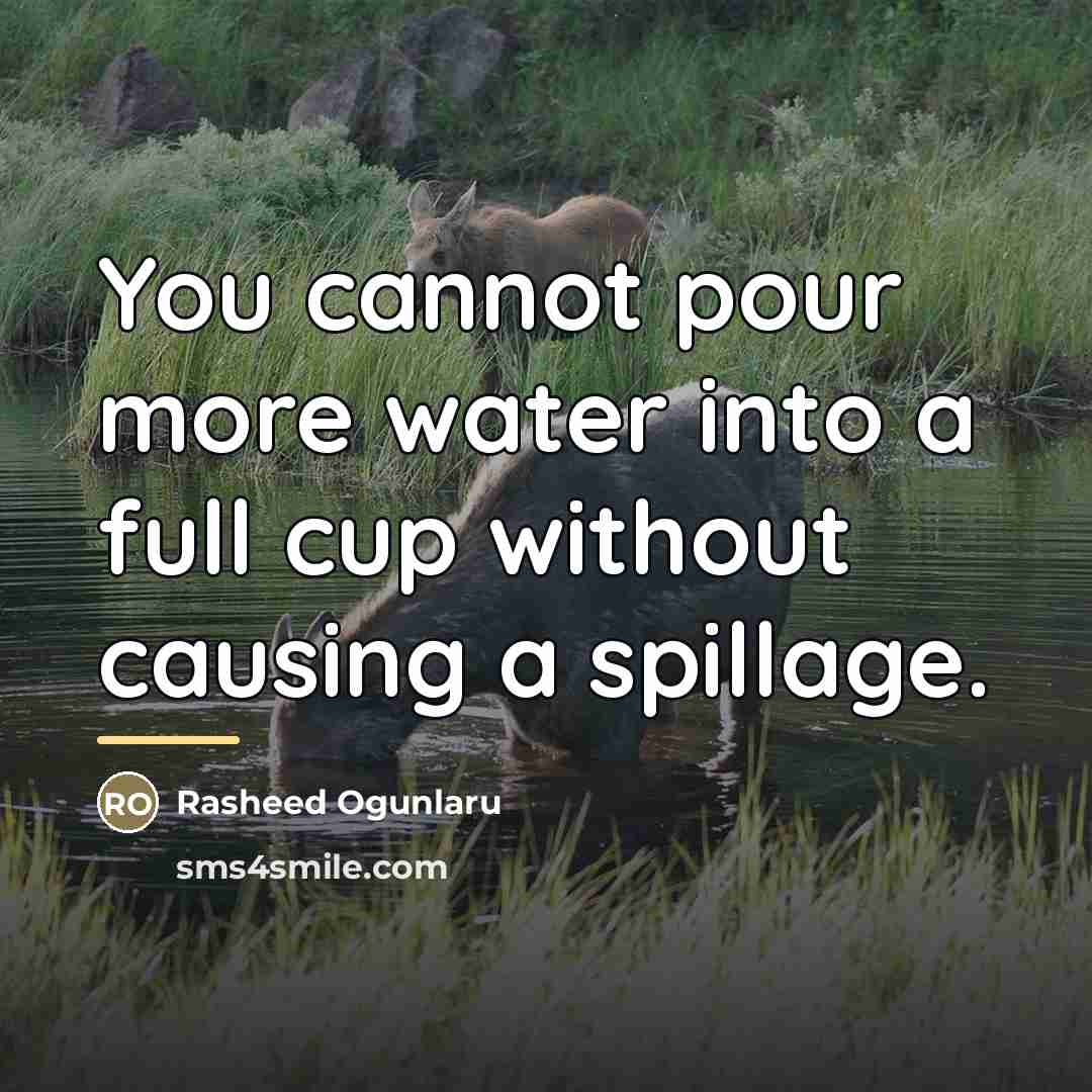 “You cannot pour more water into a full cup without…” quote by Rasheed Ogunlaru