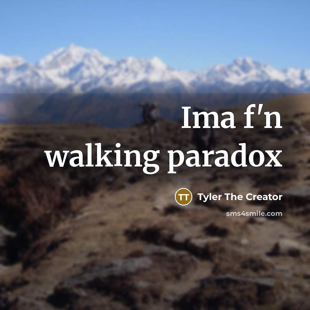 “Ima f'n walking paradox…” quote by Tyler The Creator