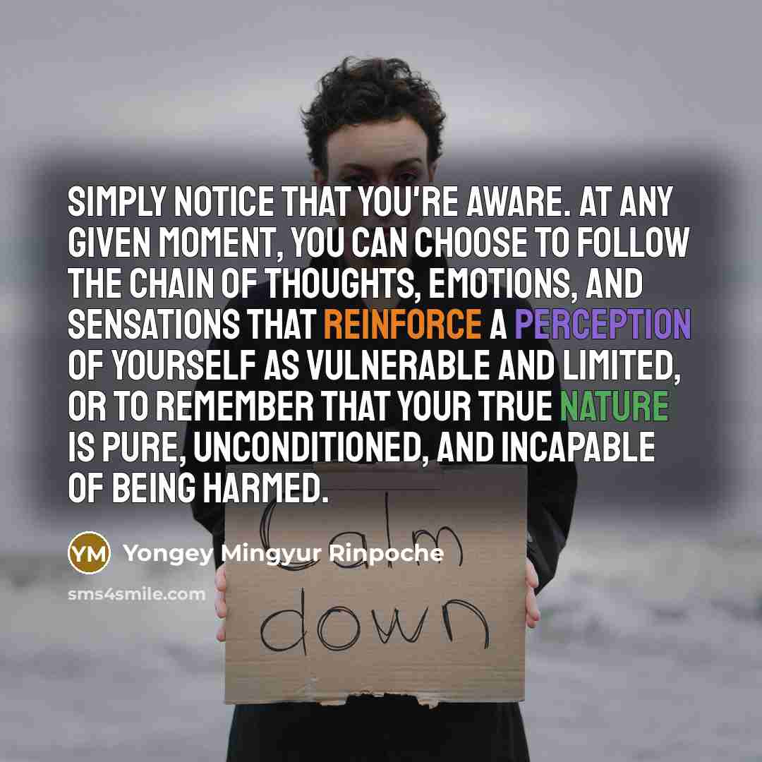 “Simply notice that you're aware. At any given moment, you can choose to follow the chain of thoughts, emotions, and sensations that reinforce a perception of yourself as vulnerable and limited, or to remember that your true nature is pure, unconditioned, and incapable of being harmed.” quote by Yongey Mingyur Rinpoche