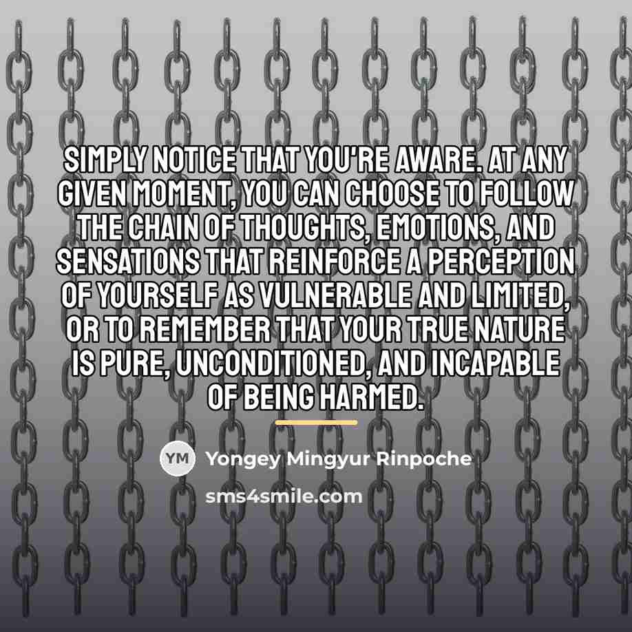 “Simply notice that you're aware. At any given moment, you…” quote by Yongey Mingyur Rinpoche