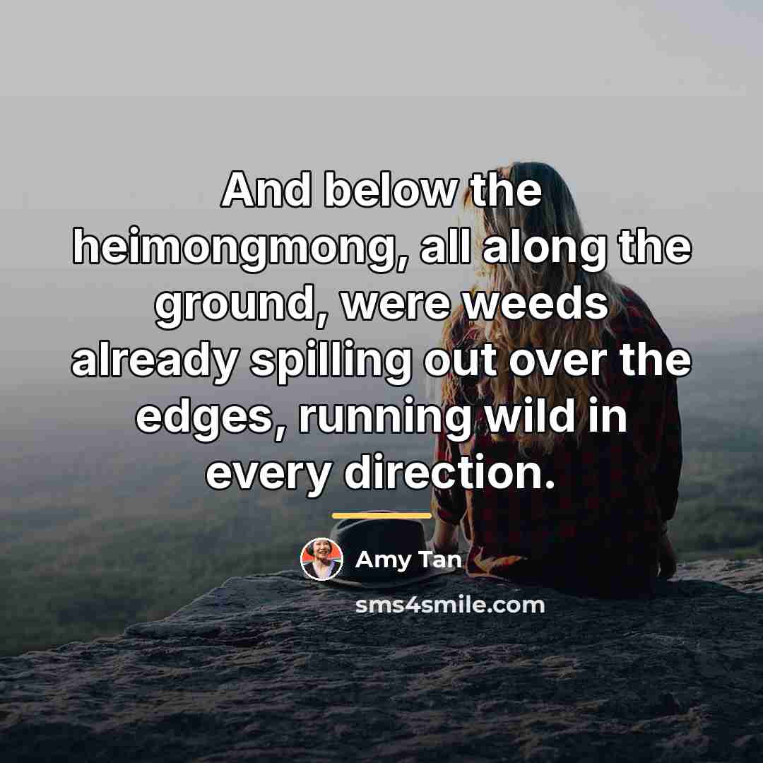 “And below the heimongmong, all along the ground, were weeds…” quote by Amy Tan