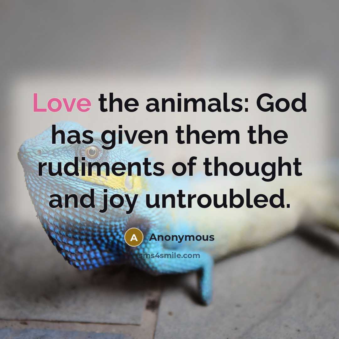 “Love the animals: God has given them the rudiments of…” quote by Anonymous