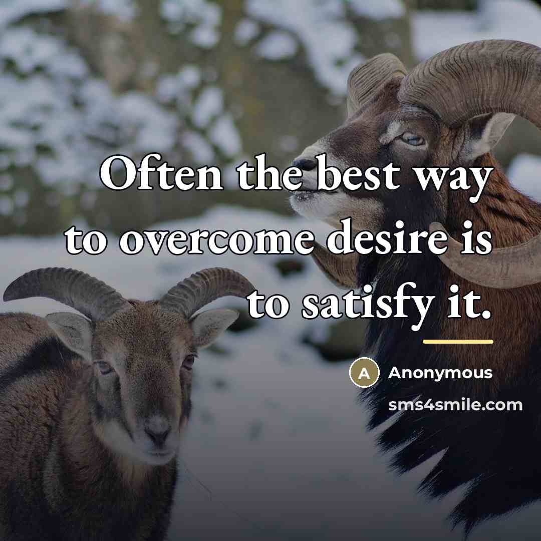 “Often the best way to overcome desire is to satisfy…” quote by Anonymous