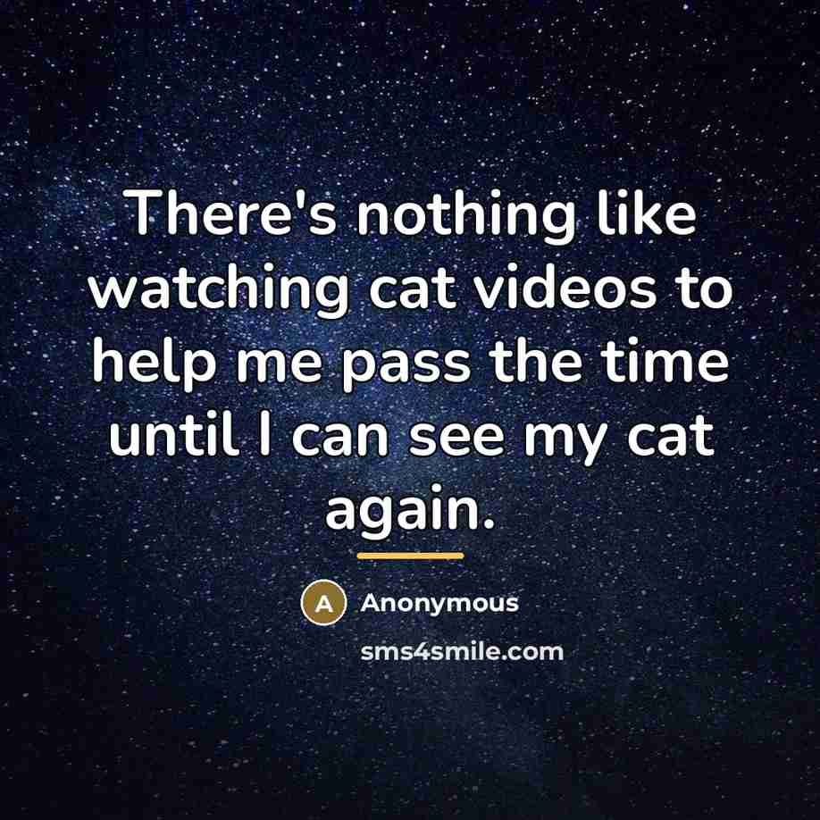 “There's nothing like watching cat videos to help me pass…” quote by Anonymous