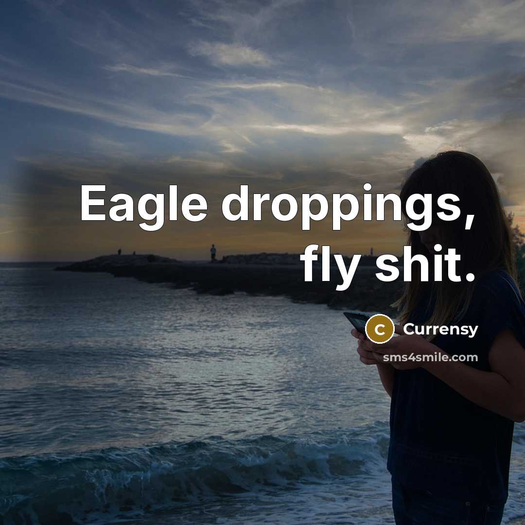 “Eagle droppings, fly shit.” quote by Currensy